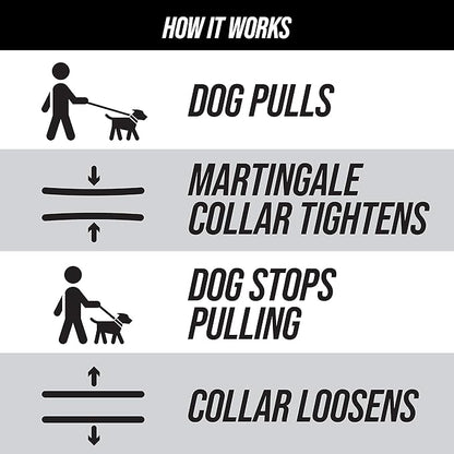 Leash Boss Martingale Collar for Dogs | Reflective Nylon Dog Collar for Large Dogs, Medium and Small Dogs | No Pull Pet Training Collar | Quick Release Buckle, Adjustable Pet Collar