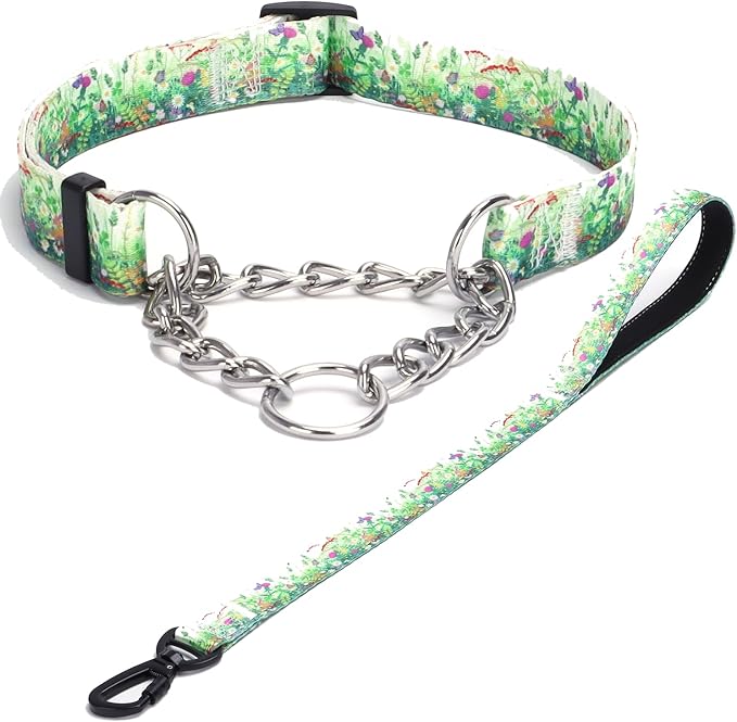 Martingale Dog Collar and Leash Set, Stainless Steel Chain, No Pull Training Collar with Flower Design, for Small, Medium, Large Dogs (NO34, L)