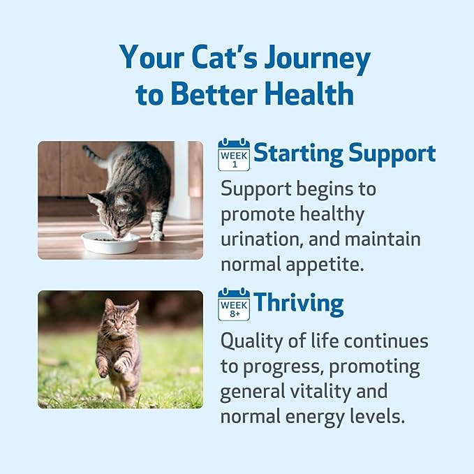 Pet Wellbeing Kidney Support Gold for Cats - Supports Normal Kidney Function & Detox, Healthy Hydration & Energy with Rehmannia & Dong Quai - NASC Certified & Vet-Formulated - 2oz Liquid Formula