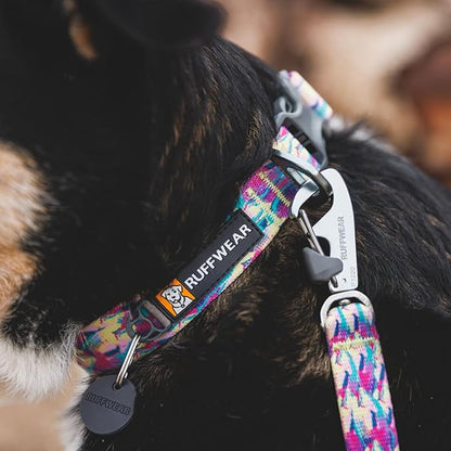 Ruffwear, Front Range Dog Collar, Adjustable Tubelok Webbing, Lightweight, Side Release Buckle, Aluminum V-Ring, Durable for Everyday Use, Spring Fade, 11"-14"