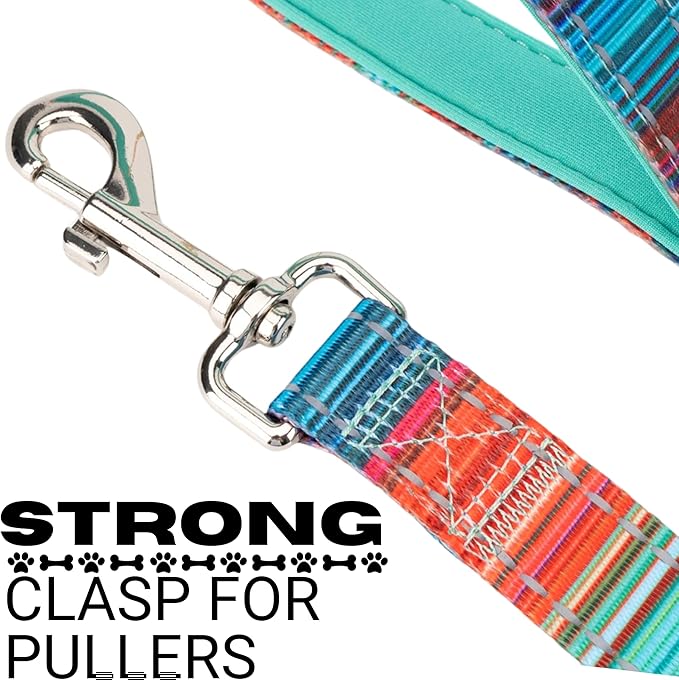 EcoBark Dog Leash - Soft & Reflective Comfort Leash with Padded Handle - Safe, Strong, & Durable for Small, Medium or Large Dogs (Multicolor Stripe)