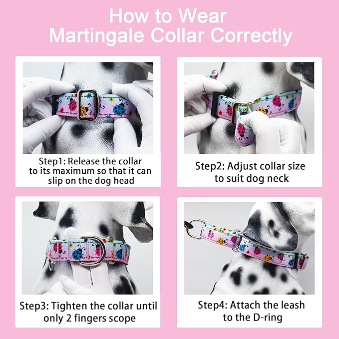 Reflective Martingale Collar for Dogs Nylon Training Collar with No Buckle, No Pull Adjustable Dog Collar for Large Dogs（Gradient Ladybug，L）
