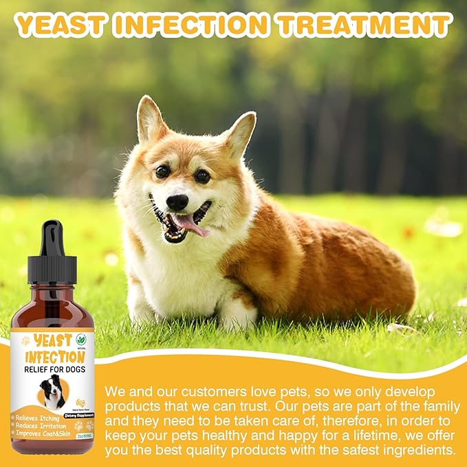 Natural Yeast Infection Treatment for Dogs,Supports Healthy Itch Relief,Inflammation Relief,Allergy Relief & More,Dog Ear Infection Treatment,Itch Relief for Dogs,Ear Infection Treatment for Dog