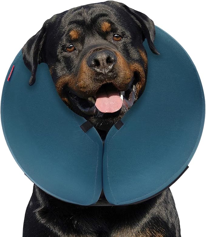 MIDOG Dog Cone - Inflatable Soft Donut Collar Alternative for Dogs After Surgery, Protective Recovery Collar Prevents Licking, Comfortable E-Collar Alternative for Small Medium Large Dogs (Blue, XL)