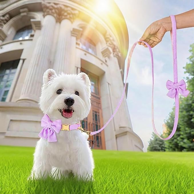 Dog Collar and Leash Set with Bowtie, Girl Dog Collars Metal Buckle Adjustable for Small Medium Dogs (Purple, M: Neck 13"-22" Leash 5 FT)