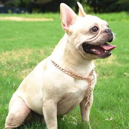 Stainless Steel P Chock Metal Chain -JYHY Dog Necklace Collars Walking Training Pet Supplies for Small Medium Large Dogs (Rose Gold, 28" (Fits Neck 24" to 26"))