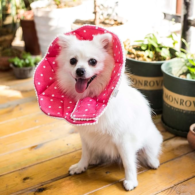 Adjustable Dog Cat Cone,Soft Recovery Cat Cone Collar,Dog Protective Collar for Cats Surgery,Pink,Small,Medium (Pink, Medium)
