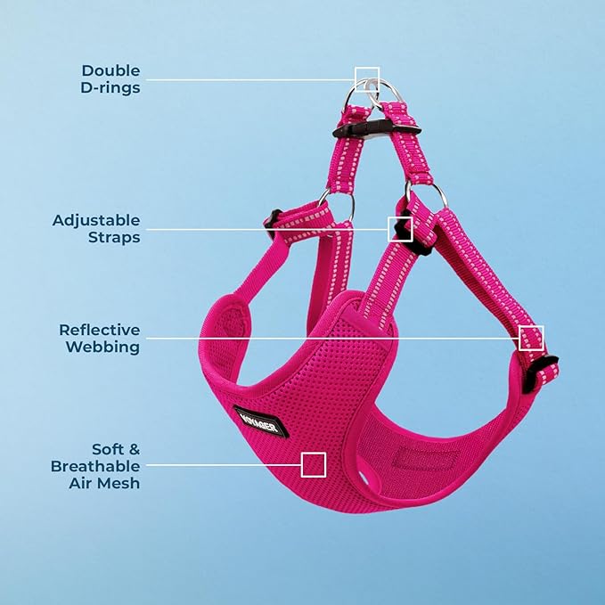 Best Pet Supplies Voyager Adjustable Step-in Flex Breathable Mesh Dog Harness for Small Medium Large Dogs (Fuchsia), L