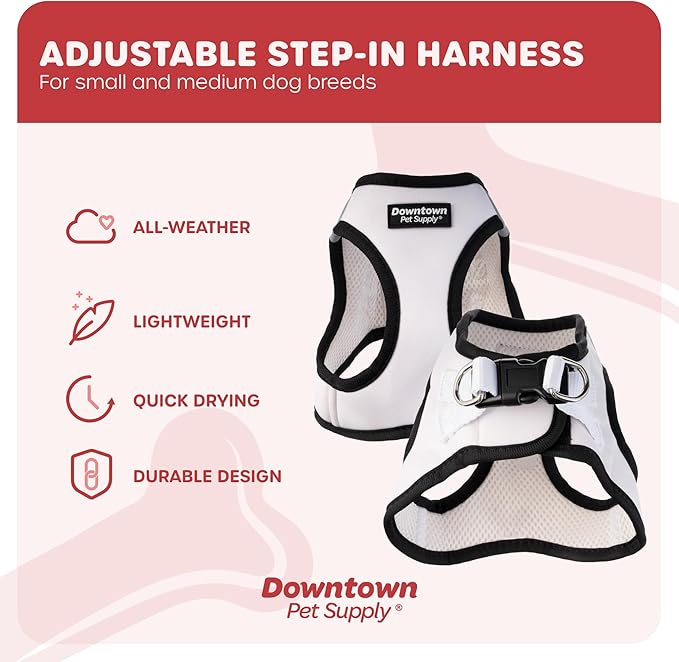Downtown Pet Supply Step in Dog Harness for Small Dogs No Pull, Medium, Doodle - Adjustable Harness with Padded Mesh Fabric and Reflective Trim - Buckle Strap Harness for Dogs