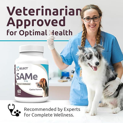 K9 Select SAM-E for Dogs – Dog Liver Supplement for Small and Medium Adult Dogs – Canine Liver Health & Detox – Hepato Support, Multivitamin for Cell-Growth, 60 Tablets