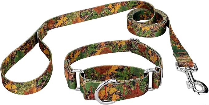 Country Brook Petz - Southern Forest Camo Martingale Dog Collar and Leash - Camouflage Collection Featuring Rugged Designs (1 Inch, Medium)