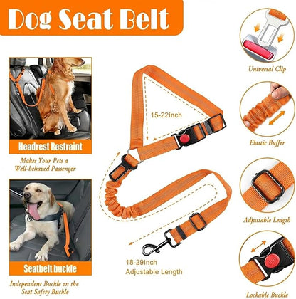 No Pull Dog Harness, Collar & Leash Set | Includes Dog Seat Belt, Collapsible Bowls & Poop Bag Dispenser. Ideal for Training, Walking, Hiking. Fits Small to Large Dogs(Orange-L)