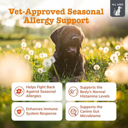 Zesty Paws Vet Strength Allergy Immune Bites - Dog Allergy Chews, Dog Probiotics for Itchy Skin and Ears, Smoked Cheese, 90ct