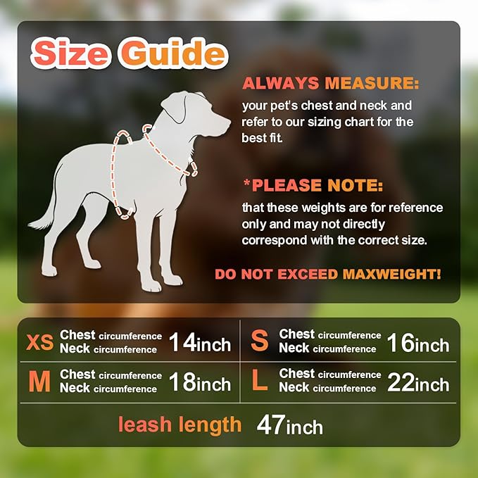 Dog Harness Medium Sized Dogs, Puppy Harness and Leash Set for Training, Running, Walking, Suitable for Small and Medium Dog Vest, Orange, L