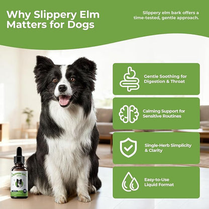 Slippery Elm for Dogs Liquid Drops, Organic Slippery Elm Bark Extract, Gut and Throat Comfort Support, Easy Mix-in Dog Supplement, Bacon Flavor, 2 fl oz