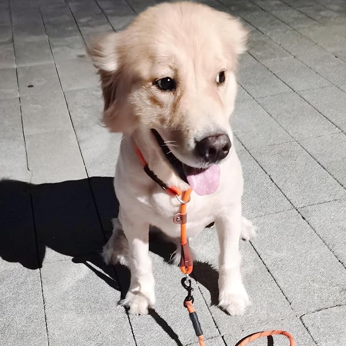 MayPaw Slip Collar Nylon Rope Adjustable Collar for Dog Training- No Pull Round Martingale Dog Collars for Small Medium Large Dogs (20" x 1/4", Orange)