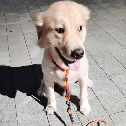 MayPaw Slip Collar Nylon Rope Adjustable Collar for Dog Training- No Pull Round Martingale Dog Collars for Small Medium Large Dogs (20" x 1/4", Orange)