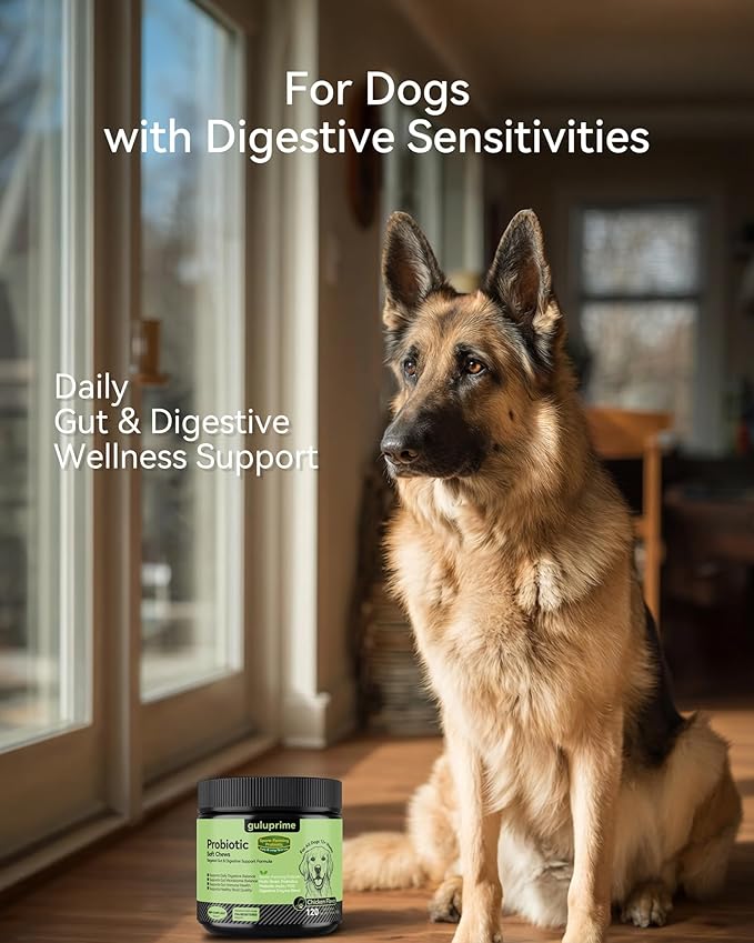 Probiotic Soft Chews for Dogs – Daily Gut & Digestive Support, Spore-Forming Probiotic with Multi-Strain Lactobacillus, Prebiotic Inulin/FOS, Chicken Flavor, 120 Chews