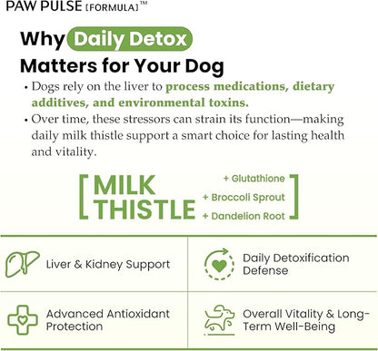 Pawpulse Formula Milk Thistle for Dogs – Liver & Kidney Support Powder with Silymarin & Glutathione – Daily Detox, Antioxidant & Metabolic Natural Support, 2.12 oz
