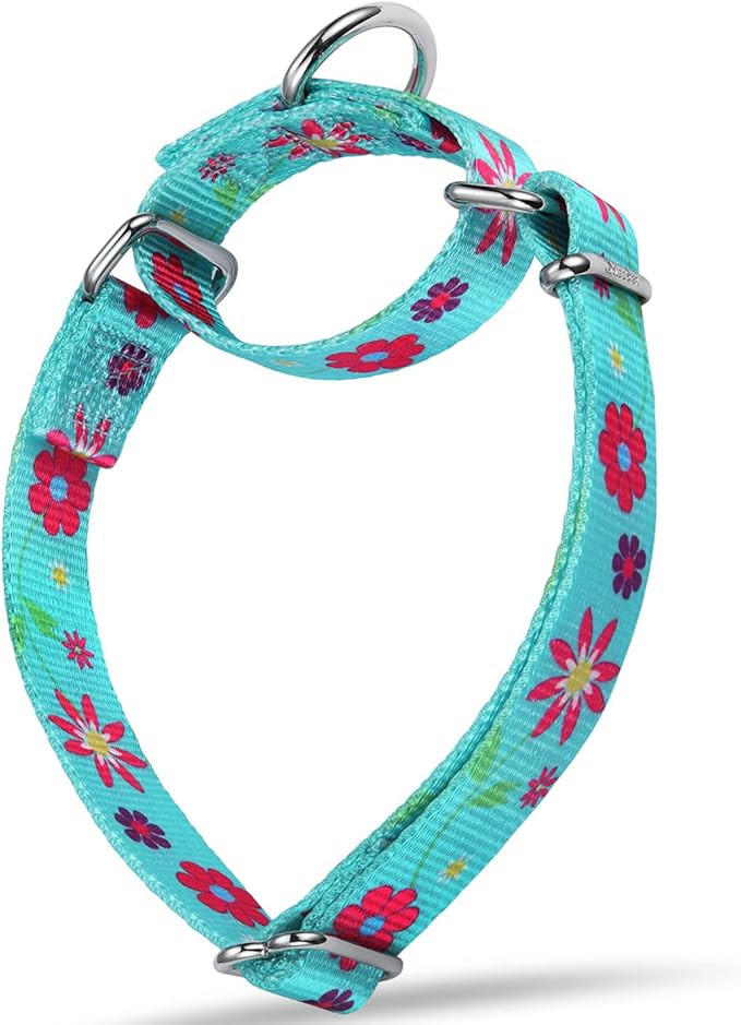 Martingale Collar Floral Print Dog Collar - No Pull Pet Collar, Heavy Duty Adjustable Dog Collar, Large, Neck 17 Inch to 25 Inch, Sun Flower (Teal)