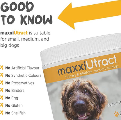 maxxiUtract Urinary & Bladder Support for Dogs – Natural Powder Supplement for Urinary Tract Health, Bladder Comfort & Ongoing Urinary System Support – D-Mannose & Cranberry Formula - 5.3 oz