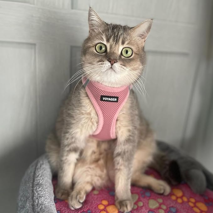 Best Pet Supplies Voyager Step-in Air Harness - All Weather Mesh, Reflective, No Pull Harness for Dogs, Cats - Secure with Hook & Loop Fastener, Buckle, Double D-Rings - Pink, XL