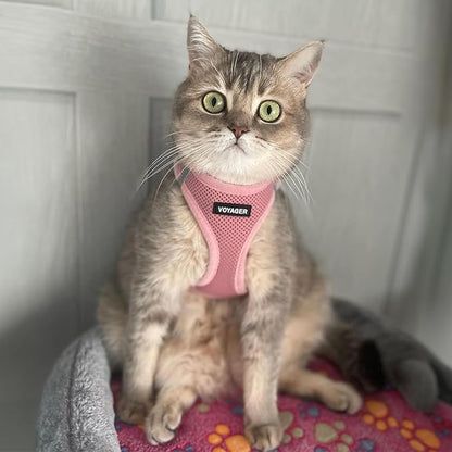 Best Pet Supplies Voyager Step-in Air Harness - All Weather Mesh, Reflective, No Pull Harness for Dogs, Cats - Secure with Hook & Loop Fastener, Buckle, Double D-Rings - Pink, M