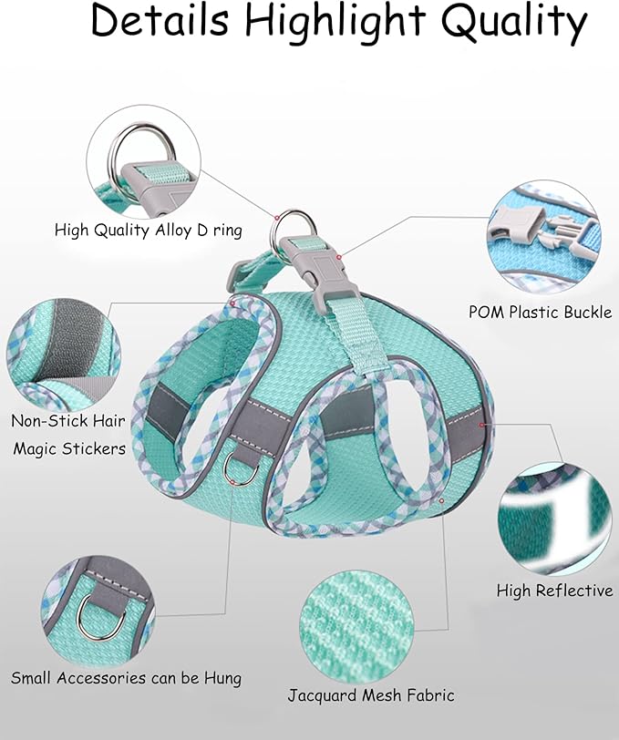 Petank Dog Harness for Small Medium Dogs No Pull, Puppy Harness and Leash Set, Step in Dog Harness for Walking, Running, Training, Small Dog Vest, Medium Dog Vest (Light Blue, M)