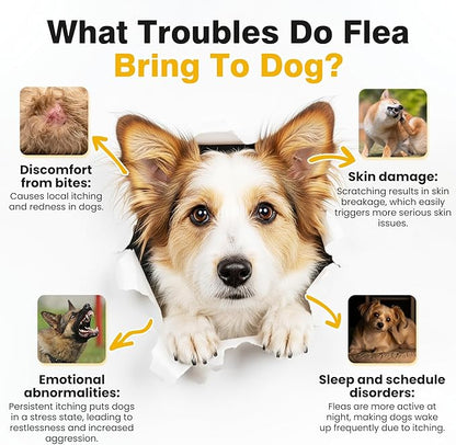 Dog Flea and Tick Treatment Chewable with Calming Supplements 200 Count Oral Fleas Ticks Chewables Support Suitable for All Breeds Ages Reduces Anxiety, Itch, and Sleep Support - Chicken Flavor
