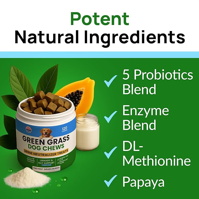 PAWFECTCHEW Green Grass Dog Chews w/Probiotics - Prevent Urine Burning Grass - Dog Pee Grass Spot Saver - Dog Urine Neutralizer for Lawn Treats, UT & Gut Health for Dogs, Lawn Burn from Dog Urine