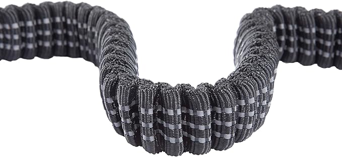 Carhartt Pet Durable Nylon Webbing Shock Absorbing Leash for Dogs, Reflective Stitching for Visibility, Black, Large
