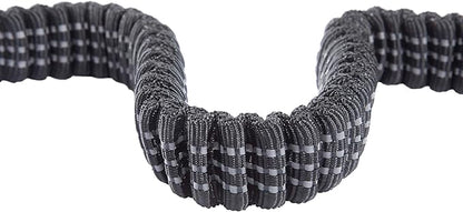 Carhartt Pet Durable Nylon Webbing Shock Absorbing Leash for Dogs, Reflective Stitching for Visibility, Black, Large