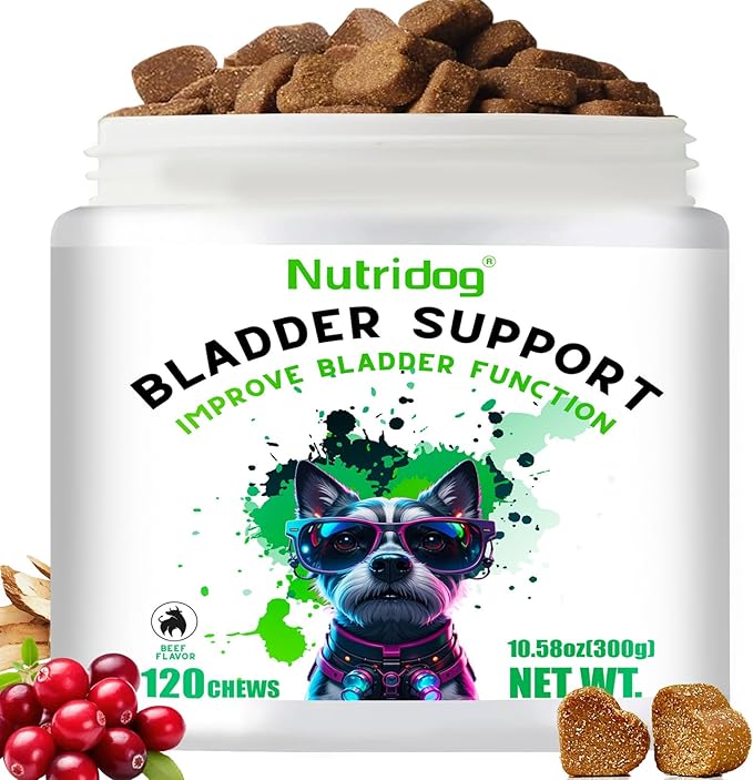 Cranberry Supplement for Dogs - Bladder Control & Urinary Tract Support, Beef Flavor Soft Chews - Dog UTI Treatment, Kidney Support, Immune & Gut Health - 120 Count (120 Ct, Beef)