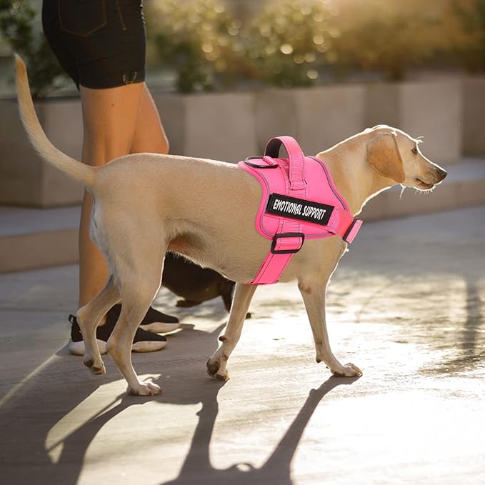 voopet Service Dog Harness, Emotional Support Pet Vest Harness, Reflective Breathable and Adjustable No-Pull ESA Dog Harness for Small Medium Large Dogs (with 4 PCS Removeable Tags)