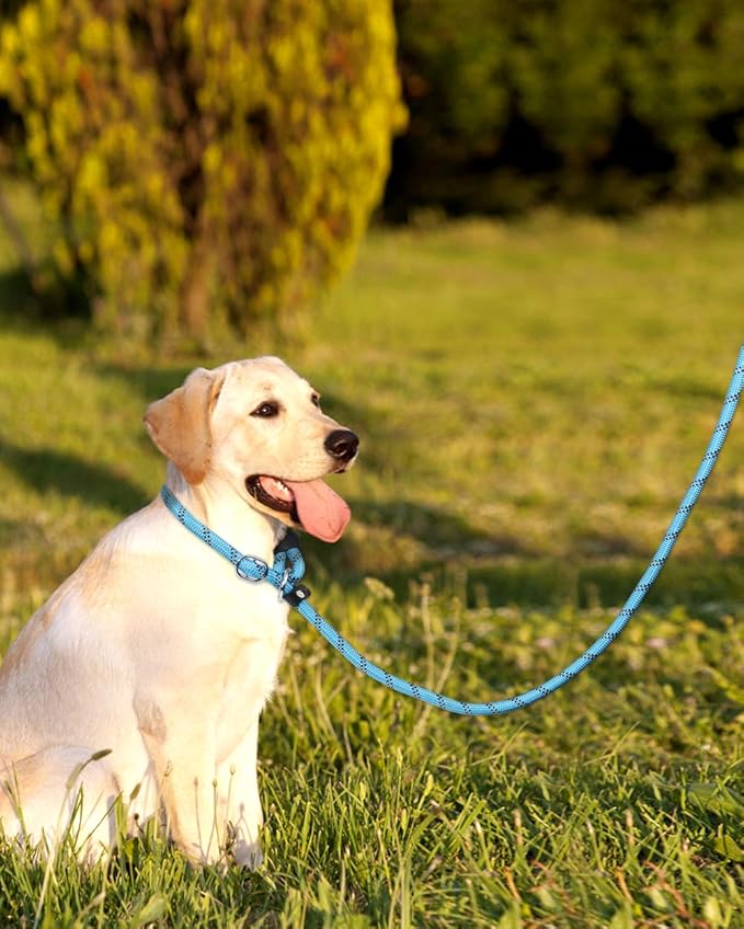 TagME 6ft Slip Dog Lead, No Pull Reflective Training Leash with Padded Handle, Professional Rope P-Leash for Small Medium Large Dogs, Heavy Duty Correction Lead for Walking & Training (Blue)