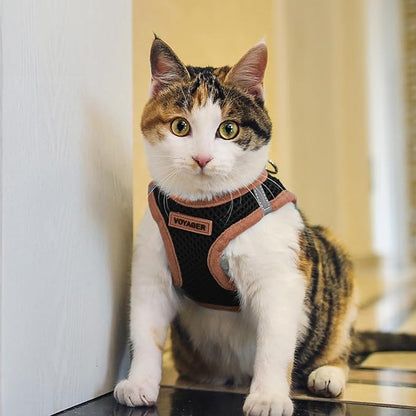 Best Pet Supplies - All Weather Mesh/Plush, Reflective, No Pull Harness for Small, Medium Dogs, Cats - Secure with Hook & Loop Fastener, Buckle, Double D-Rings - Black/Orange Trim, XS