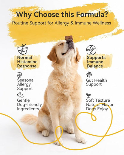 Dog Allergy Relief Chews – Daily Allergy & Immune Support with Quercetin, Colostrum & Probiotics, Helps Maintain Normal Histamine Response, Supports Skin & Coat Comfort, Gut Health, 120ct