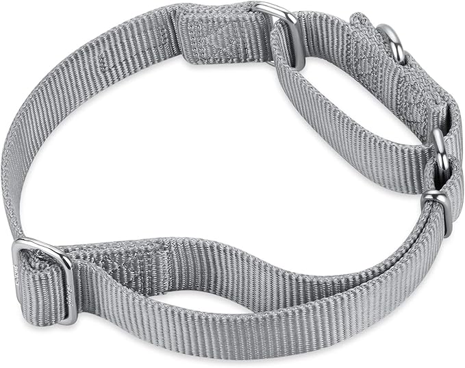 Hyhug Martingale Dog Collar Medium Gray |Escape - Proof Heavy Duty Nylon Durable No Slip, Ideal for Training & Daily Walks