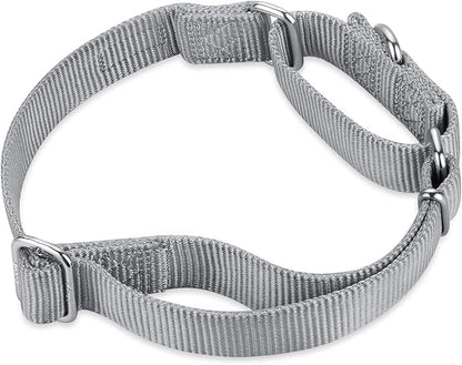 Hyhug Martingale Dog Collar Medium Gray |Escape - Proof Heavy Duty Nylon Durable No Slip, Ideal for Training & Daily Walks