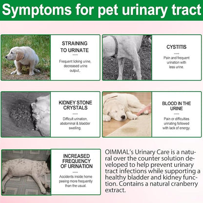 Urinary Tract for Dogs, Dog Urinary Tract Infection Treatment with Cranberry Supports Urinary Tract & Bladder, Supports Kidney Stone & Dog UTI, Pet Supplement Cranberry Supplement for Dogs - 60 ml