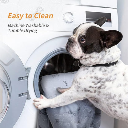 Washable Pee Pads for Dogs, 2Pack Puppy Pads Washable,Absorbent Reusable Whelping Pads, Non-Slip Dog Mats with Bone Print for Floor Protector, Couch Cover, Crate, Potty Training 36x36