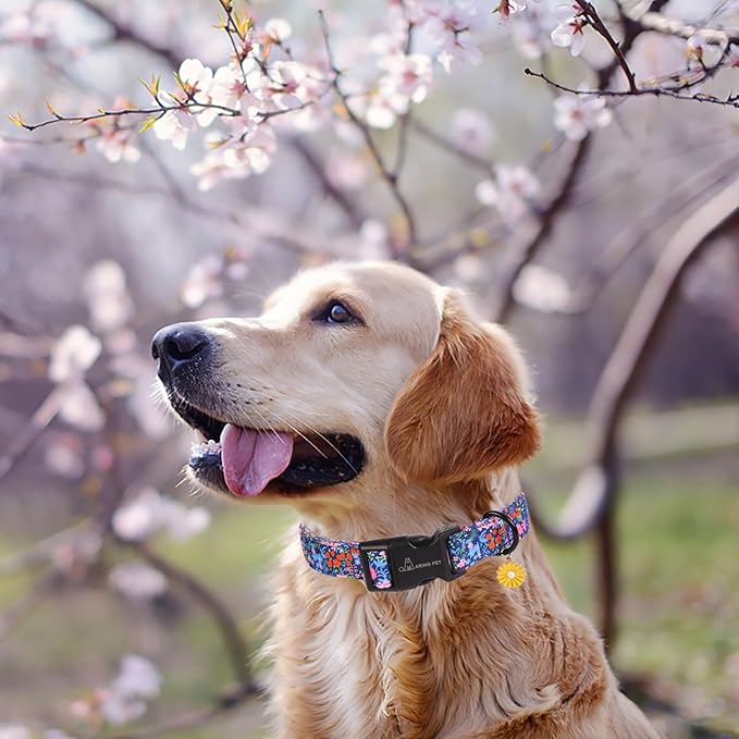 ARING PET Floral Dog Collar, Cute Blue Pink Orange Spring Summer Flower Doggy Pet Collars for Puppy Small Medium Large Girl Female Dogs-S