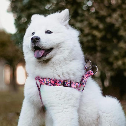 QQPETS Dog Harness Leash Set Adjustable Heavy Duty No Pull Halter Harnesses for Small Medium Large Breed Dogs Back Clip Anti-Twist Perfect for Walking