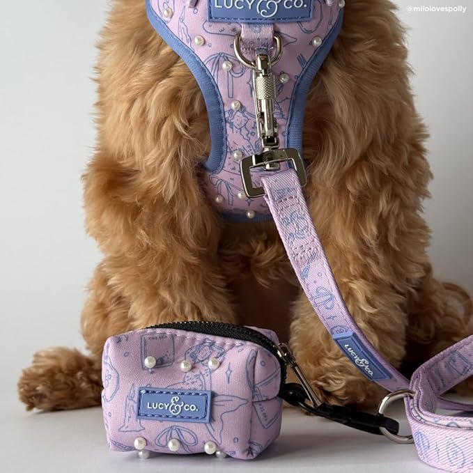 Lucy & Co. Magnificent Mermaid Pearl Dog Leash, Durable Matching Dog Lead with Heavy Duty Hardware, Large