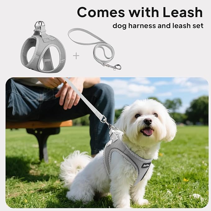 PetiFine Step in Small Dog Harness and Leash Set, Breathable All Weather Air Mesh Reflective Escape Proof, Step-in Velcro Vest Harnesses for Puppy(S, Grey)