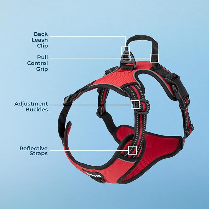 Voyager Dog Harness Dual Leash Attachment No-Pull Control Adjustable Soft but Strong Pet Harness for Medium and Large Dogs with 3M Reflective Technology, Red Lattice Nylon, M (Chest: 20-25")