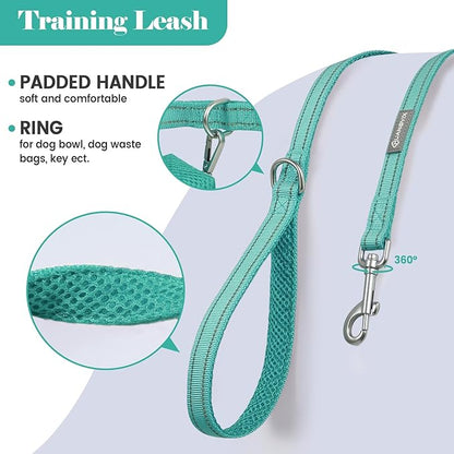 Reflective Dog Collar Leash Set, Adjustable Soft Dog Collar Leash with Poop Bag Holder Dispenser for Small Medium Large Dogs, Multiple Color Available, Teal, Large