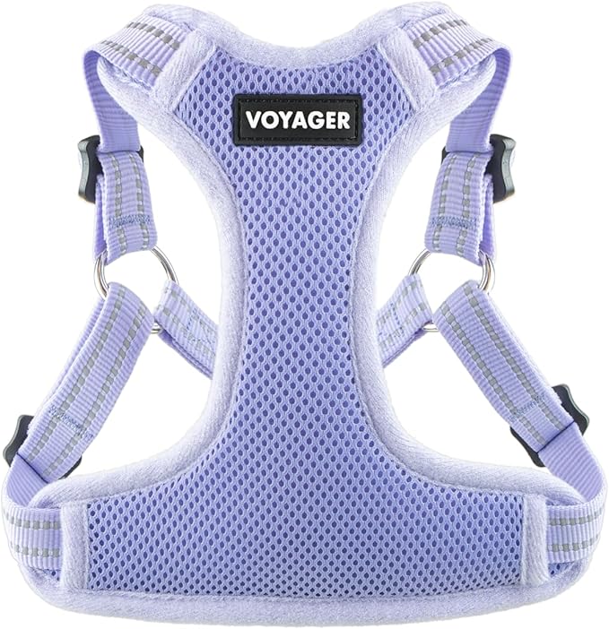 Best Pet Supplies Voyager Adjustable Step-in Flex Breathable Mesh Dog Harness for Small Medium Large Dogs (Lavender), L