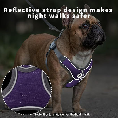 Dog Harness with Leash Set, Adjustable Step in Collars Harness with Breathable Padded Vest for Medium Dogs Training and Running (M, Purple)