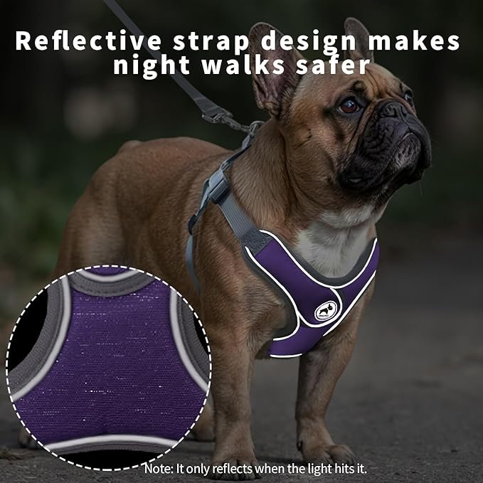 Dog Harness with Leash Set, No Pull Adjustable Step in Collars Harness with Breathable Padded Vest for Small Dogs Training and Running (S, Purple)